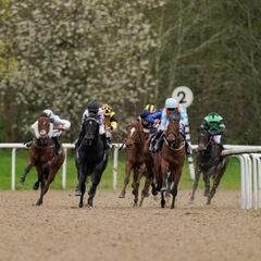 Sábado 23 de noviembre: Yorkshire, principal apuesta para Wolverhampton 6