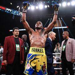 Subriel Matías quiere enfrentar a Teófimo López