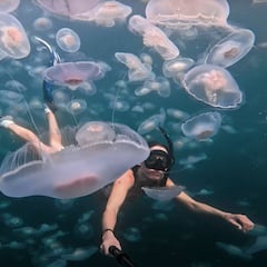 Del buceo entre medusas a juguetes en llamas: así es el vídeo del millón de dólares