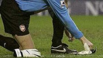 <b>SUPLENTE.</b> Lehman comenzó la temporada como portero titular del Arsenal, pero en las últimas jornadas Almunia le ha arrebatado el puesto.