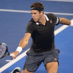 Del Potro vence a Opelka y en cuartos se medirá a McDonald