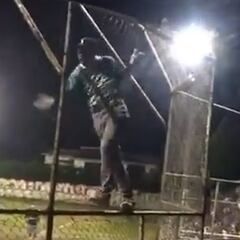 Man goes full Spiderman mode at baseball game