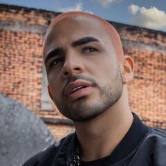 Juan Palau estrena "Vegana", su nuevo sencillo musical