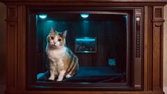 Si tienes una televisión antigua rota por casa, no la tires: puedes transformarla en algo increíble