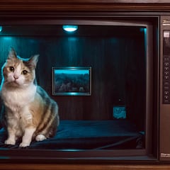 Si tienes una televisión antigua rota por casa, no la tires: puedes transformarla en algo increíble