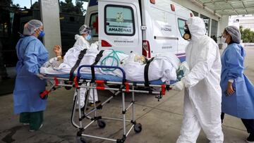 Dos mutaciones pueden complicar la pandemia: Erik y Nelly