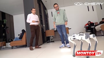 Conozca este curioso robot que es la sensación en Colombia.