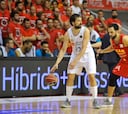 Fechas del playoff: el Madrid, el Baskonia y el Barça, el domingo