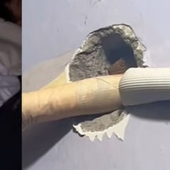 Paga 2 euros por una noche de hotel en Bali y se da cuenta de que su habitación es un zoológico: “Eso es Jurassic Park”