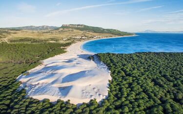 La Playa de Bolonia es una playa casi salvaje situada en Tarifa, a unos 15 minutos en coche de esta localidad. Es la continuación hacia el sur de Zahara de los Atunes y Atlanterra pero no están conectadas ya que se separan por acantilados. Concretamente, limita al oeste por punta Camarinal y su playa de Arroyo Cañuelo, y al este por punta Paloma; en el interior está bordeada por la sierra de La Plata, la sierra de la Higuera y la loma San Bartolomé. Que sea una playa tan virgen no es casual, ya que sólo se puede acceder por la N-340 y la carretera es estrecha y sinuosa. La playa tiene unos 4 kilómetros de largo y unos 70 metros de ancho.