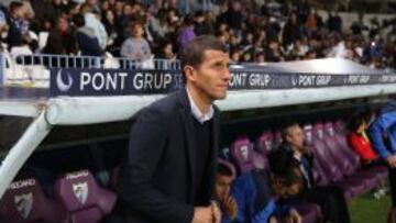 Javi Gracia, en el banquillo durante el M&aacute;laga-Granada.