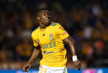 Saltó a la Primera División desde las fuerzas básicas de los Tigres. Terminó el 2017 tasado en 300 mil euros. En el primer semestre del año, con Lobos BUAP, marcó nueve goles en 12 partidos. Para el Apertura 2018 regresó a Tigres, donde en 13 encuentros hizo dos anotaciones. Cerró el año con un valor de mercado de 3.5 millones de euros.