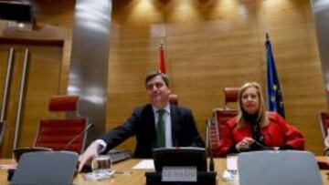 El presidente del CSD, Miguel Cardenal, comparece ante la Comisión de Educación y Deporte del Senado junto a la presidenta de la Comisión, María Jesús Sáinz García.