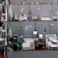 "Brasil puede ser un Fukushima biológico"