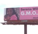 El esposo de Serena compra vallas publicitarias para animarla