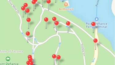 Poke Radar: app para localizar los Pokémon más buscados