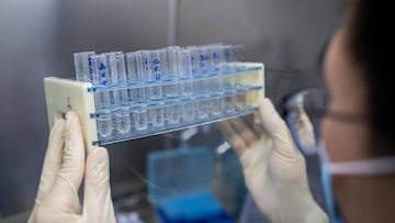 Investigación de la vacuna.