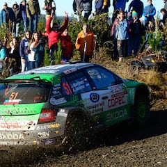 WRC tendrá su fecha en Chile antes que en Argentina en 2020