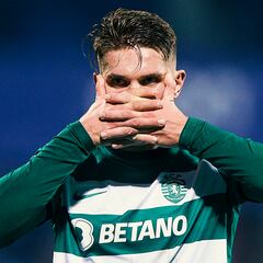 Gyökeres es un animal