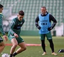 El Elche espera hacer los test a la plantilla entre martes y jueves