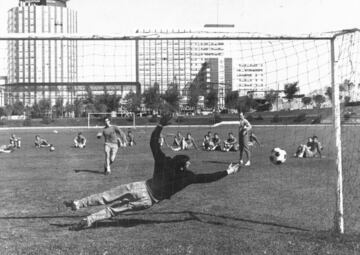 11 de marzo de 1964 con apenas veintiún años recién cumplidos unos días antes, Iríbar debutó con la selección española en un partido de clasificación para la Eurocopa de 1964, frente a Irlanda, ese fue el comienzo de una larga trayectoria bajo los palos de la selección, donde se convertiría en titular indiscutible.