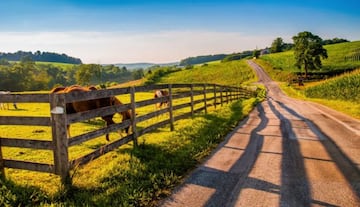 Pensilvania tiene una zona rural muy marcada.