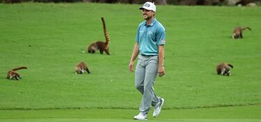 Austin Cook juega al golf entre coat¨ªs