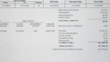 Abre la factura del agua y descubre un cargo de más de 40.000 euros: “¿Qué estoy regando aquí, una selva tropical?”