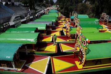 Las famosas trajineras en Xochimilco, atracadas en el embarcadero por la falta de visitantes.