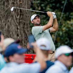 How much money has Scottie Scheffler earned in total so far on the PGA Tour this year?