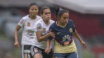 Las Águilas y Tigres han mantenido gran constancia en el torneo femenil mexicano, pues desde que se creo el torneo, ambos clubes han estado en instancias definitivas.