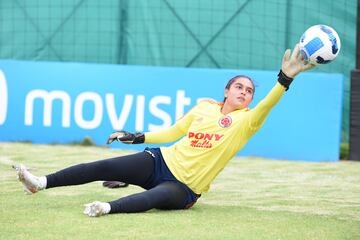 La Selección Colombia Femenina Sub 17 trabaja en Bogotá previo a su viaje a Uruguay, el próximo viernes 25 de febrero. El equipo nacional debutará en el Sudamericano ante Perú.