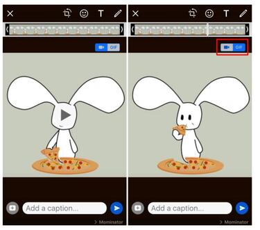 Aprende a convertir videos en GIFs y enviarlos por WhatsApp