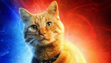 Carol Danvers no es la &uacute;nica protagonista en la pel&iacute;cula de Captain Marvel, pues Goose, el adorable gato que sigue a la superhero&iacute;na en sus aventuras, se rob&oacute; el coraz&oacute;n de la audiencia