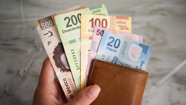 IMSS e ISSSTE: Esto deben saber los pensionados sobre reparto de utilidades antes del 30 de mayo