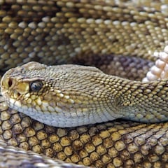 16 de julio: ¿cuál es el santoral, qué se celebra y qué pasó tal día como hoy?