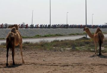 Primera etapa del Tour de Om¨¢n con final en Naseem Park
