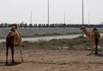 Primera etapa del Tour de Omán con final en Naseem Park