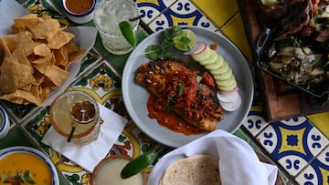 The Citymeals on Wheels program provides a vital lifeline to New York City’s homebound elderly, offering healthy meals and vital companionship.