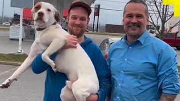 Adopta un perro y durante 4 meses es amor a primera vista hasta que publica una imagen desafortunada