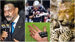 Los mejores memes de la victoria de los New England Patriots sobre los Jacksonville Jaguars