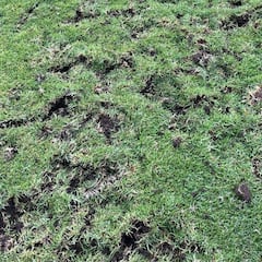 Así quedó una cancha del fútbol chileno tras presentación de Carabineros: “A usted no le interesa el club”