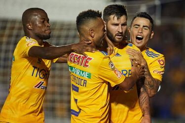 Aunque Tiburones no se presente a jugar, Tigres sí viaja a Veracruz
