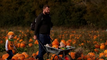 Halloween has now passed, leaving some to wonder, what can I do with all these pumpkins?!?