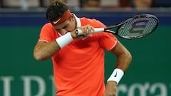 Del Potro sigue su recuperación, sin férula