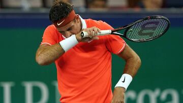 Del Potro sigue su recuperación, sin férula