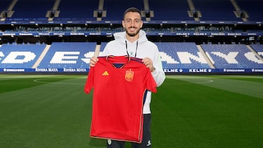 Joselu, de la crisis del Espanyol al sue?o con la Seleccin