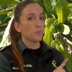 La Guardia Civil alerta si paseas a tu perro y ves esto: “Puede tener una reacción muy grave”