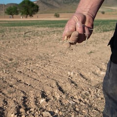 Preocupante pronóstico de un agricultor sobre la sequía