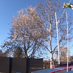 Las mayores locuras que hacen los deportistas en sus casas